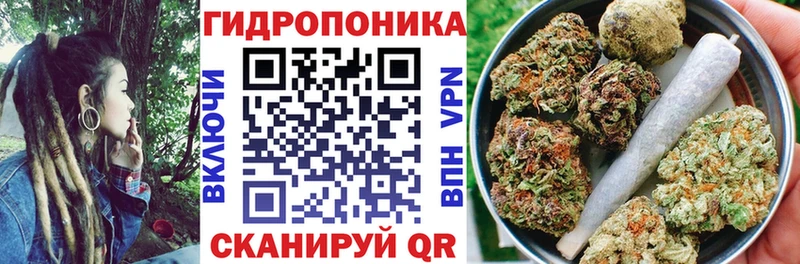 blacksprut ссылки  Макарьев  Марихуана план 